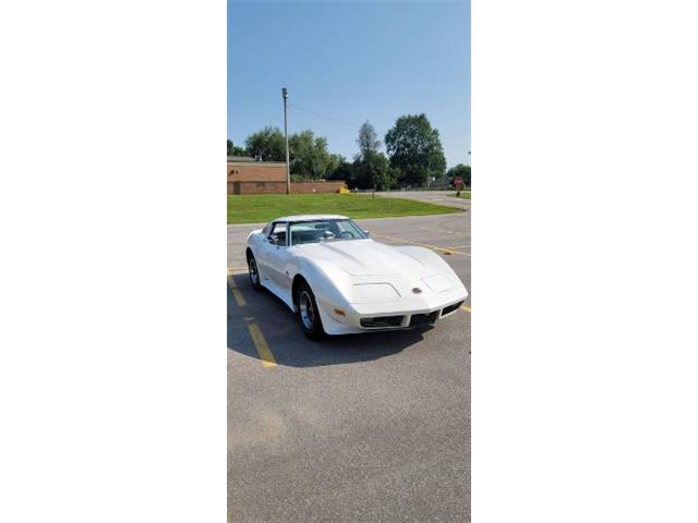 1974 Chevrolet Corvette (CC-1764128) for sale in Cadillac, Michigan