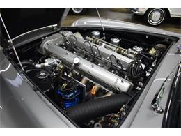 1966 Aston Martin DB6 (CC-1764267) for sale in Huntington Station, New York