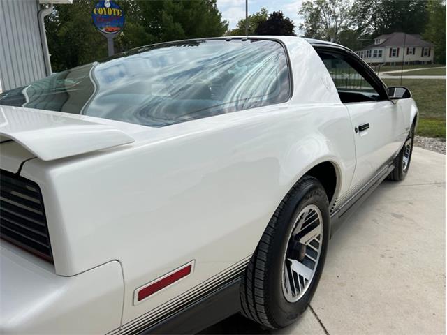 1984 Pontiac Firebird Trans Am (CC-1764268) for sale in Greene, Iowa