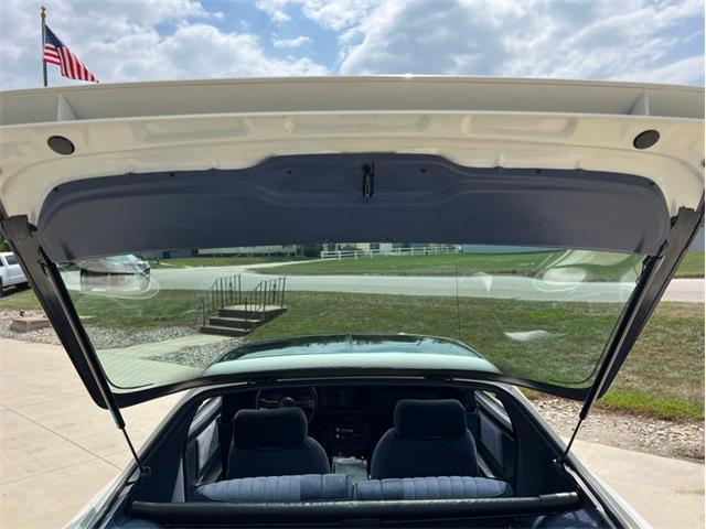 1984 Pontiac Firebird Trans Am (CC-1764268) for sale in Greene, Iowa