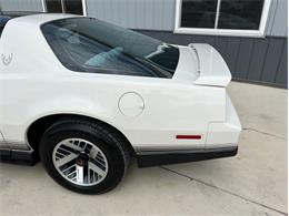 1984 Pontiac Firebird Trans Am (CC-1764268) for sale in Greene, Iowa