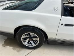 1984 Pontiac Firebird Trans Am (CC-1764268) for sale in Greene, Iowa