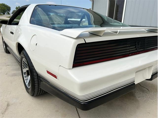 1984 Pontiac Firebird Trans Am (CC-1764268) for sale in Greene, Iowa