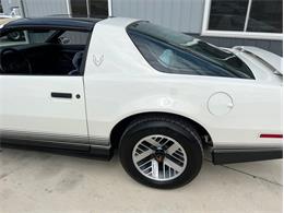 1984 Pontiac Firebird Trans Am (CC-1764268) for sale in Greene, Iowa