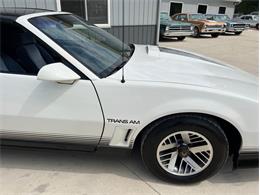 1984 Pontiac Firebird Trans Am (CC-1764268) for sale in Greene, Iowa