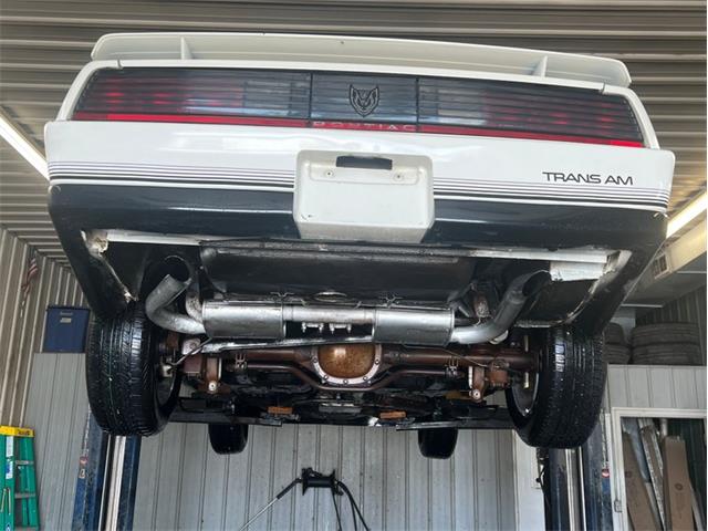 1984 Pontiac Firebird Trans Am (CC-1764268) for sale in Greene, Iowa