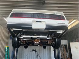 1984 Pontiac Firebird Trans Am (CC-1764268) for sale in Greene, Iowa