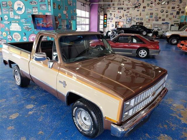 1981 Chevrolet C10 (CC-1760444) for sale in Hobart, Indiana