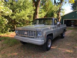 1975 Chevrolet C20 (CC-1764444) for sale in Uniontown, Ohio