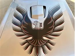1979 Pontiac Firebird Trans Am (CC-1764549) for sale in Palmetto, Florida