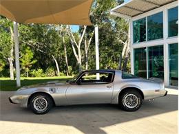 1979 Pontiac Firebird Trans Am (CC-1764549) for sale in Palmetto, Florida