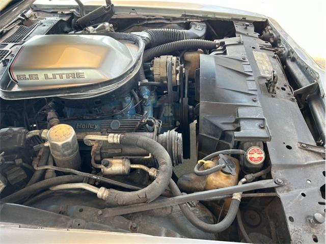 1979 Pontiac Firebird Trans Am (CC-1764549) for sale in Palmetto, Florida