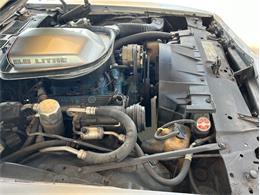 1979 Pontiac Firebird Trans Am (CC-1764549) for sale in Palmetto, Florida