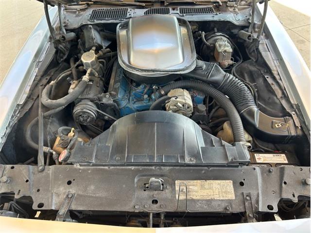 1979 Pontiac Firebird Trans Am (CC-1764549) for sale in Palmetto, Florida