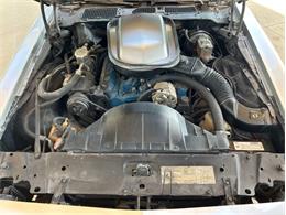 1979 Pontiac Firebird Trans Am (CC-1764549) for sale in Palmetto, Florida