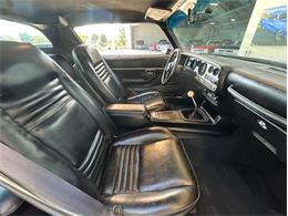 1979 Pontiac Firebird Trans Am (CC-1764549) for sale in Palmetto, Florida