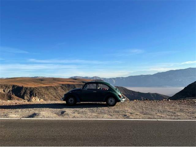 1970 Volkswagen Beetle (CC-1764836) for sale in Cadillac, Michigan
