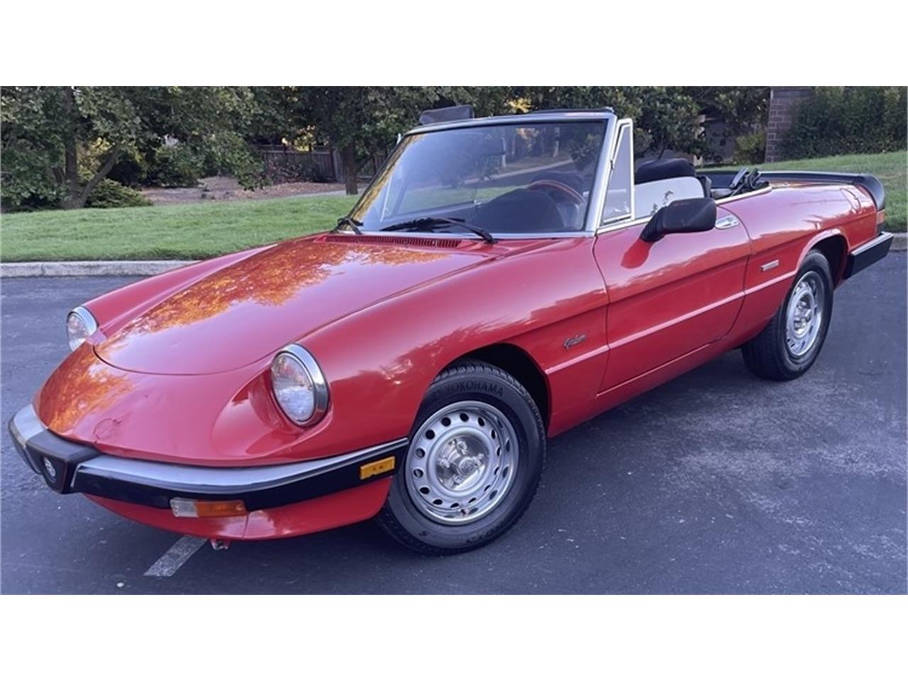 1986 Alfa Romeo Graduate for Sale | ClassicCars.com | CC-1765228