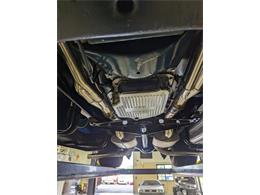 1954 Ford F100 (CC-1765481) for sale in Volo, Illinois