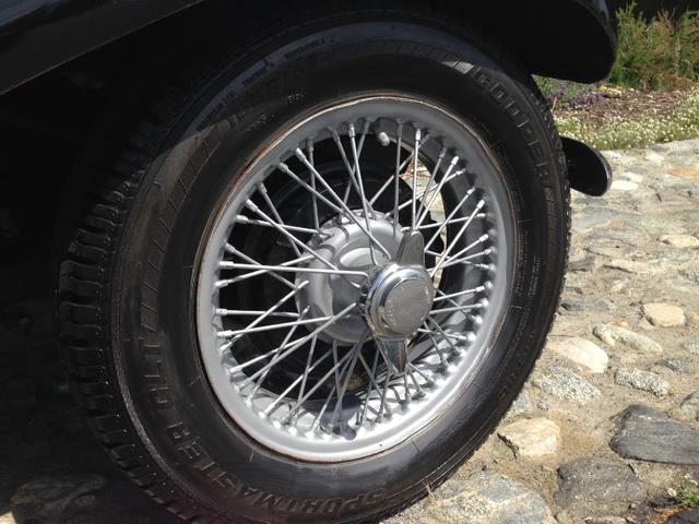 1954 MG TF (CC-1766035) for sale in Santa Ana, California