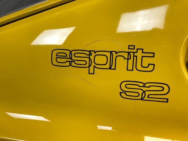 1979 Lotus Esprit (CC-1766115) for sale in Santa Ana, California