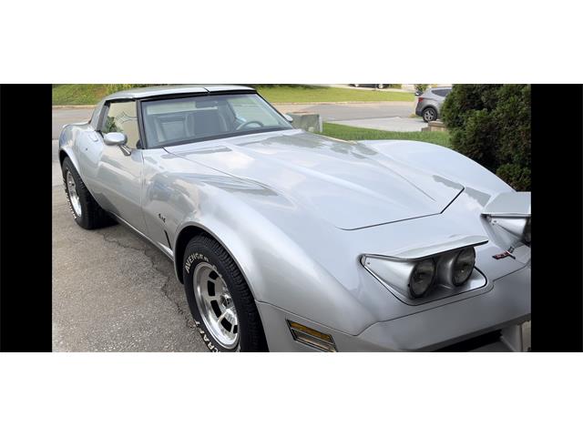 1980 Chevrolet Corvette (CC-1766213) for sale in Knoxville, Tennessee