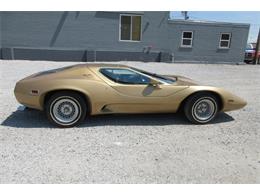 1977 Volkswagen Kit Car (CC-1766232) for sale in Great Bend, Kansas