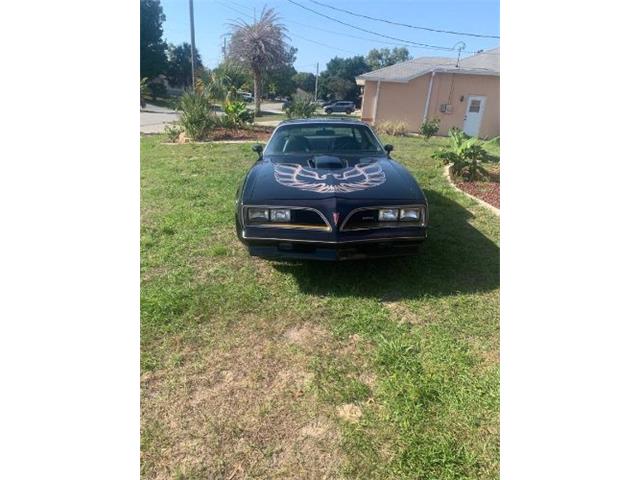 1977 Pontiac Firebird Trans Am (CC-1766283) for sale in Cadillac, Michigan