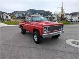 1979 Chevrolet 1500 (CC-1766352) for sale in Cadillac, Michigan