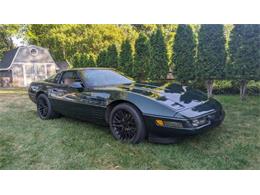 1994 Chevrolet Corvette (CC-1766903) for sale in Cadillac, Michigan