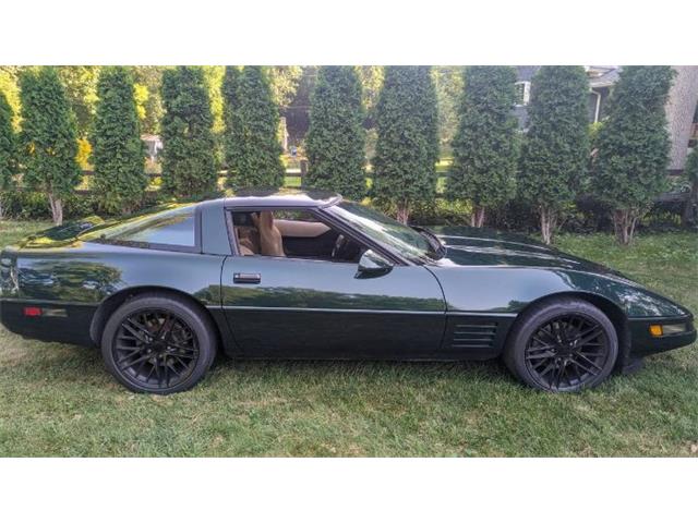 1994 Chevrolet Corvette (CC-1766903) for sale in Cadillac, Michigan