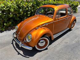 1970 Volkswagen Beetle (CC-1760702) for sale in Boca Raton, Florida