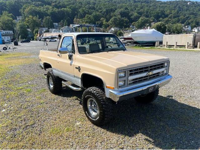 1985 Chevrolet Blazer (CC-1767172) for sale in Cadillac, Michigan