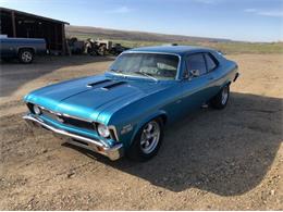 1971 Chevrolet Nova (CC-1767214) for sale in Cadillac, Michigan