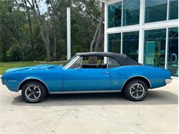 1967 Pontiac Firebird (CC-1767329) for sale in Palmetto, Florida