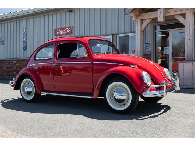 1963 Volkswagen Beetle (CC-1767687) for sale in SUDBURY, Ontario
