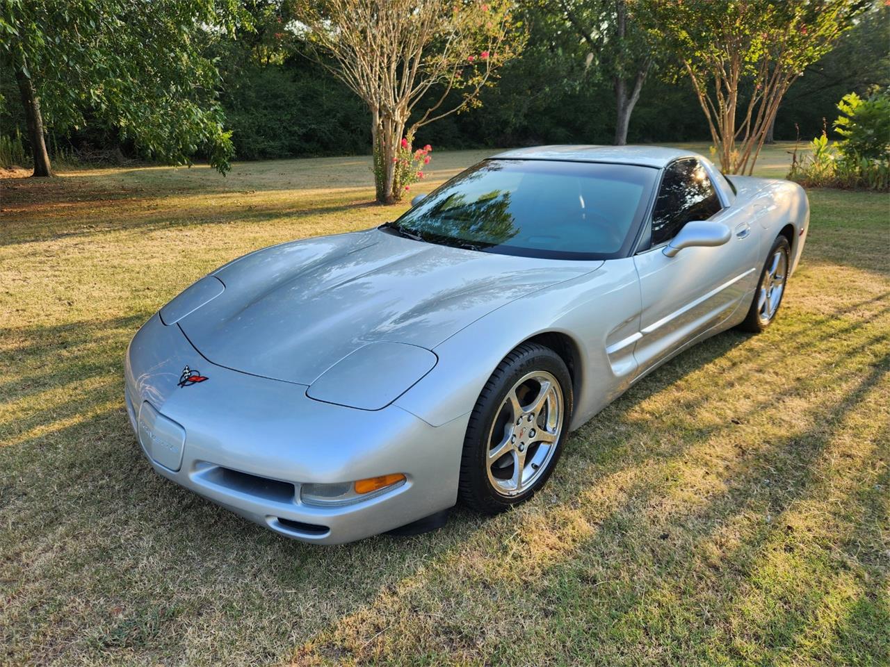 2001 Chevrolet Corvette in Prattville, Alabama