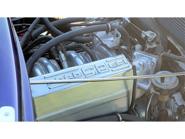 1956 Ford F100 (CC-1767963) for sale in Hilton, New York