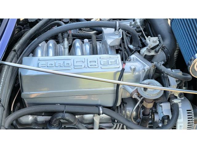 1956 Ford F100 (CC-1767963) for sale in Hilton, New York