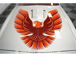 1980 Pontiac Firebird (CC-1760821) for sale in Mesa, Arizona