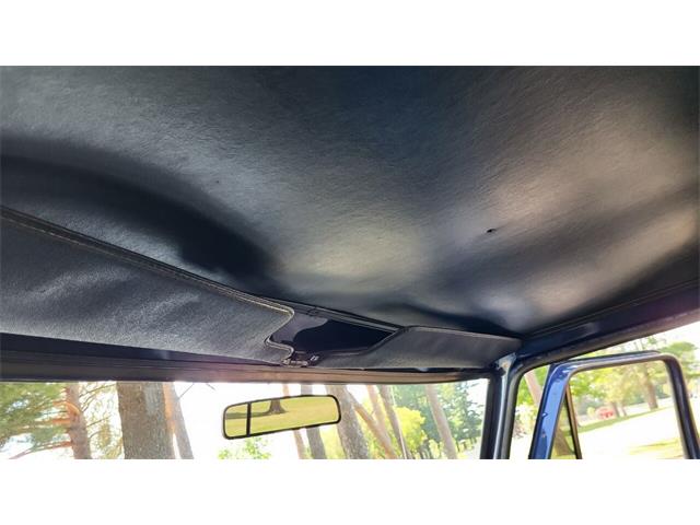 1979 Ford F100 (CC-1768300) for sale in Stanley, Wisconsin