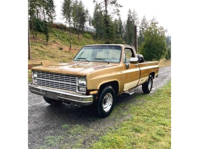 1984 Chevrolet C20 (CC-1760851) for sale in Cadillac, Michigan