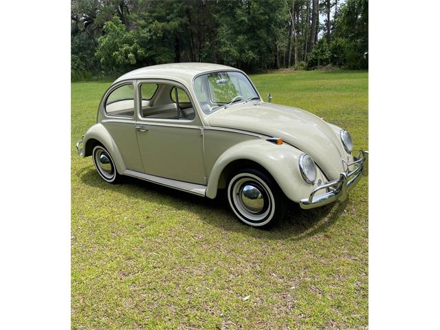 1965 Volkswagen Beetle for Sale | ClassicCars.com | CC-1768850