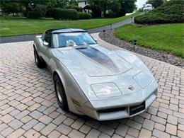1982 Chevrolet Corvette (CC-1768920) for sale in Carlisle, Pennsylvania