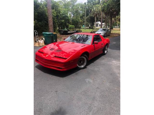 1987 Pontiac Firebird (CC-1769132) for sale in Cadillac, Michigan