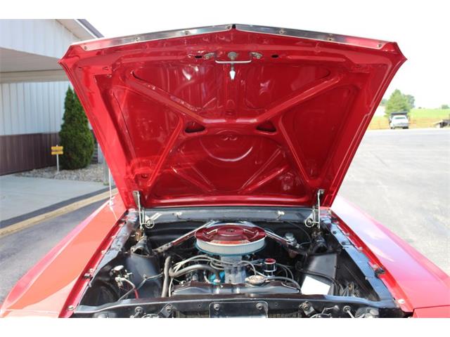 1966 Ford Mustang (CC-1769226) for sale in Greensboro, North Carolina