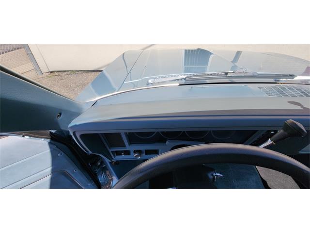 1978 Chevrolet Nova (CC-1769331) for sale in Belle Plaine, Minnesota, Minnesota