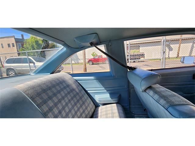 1978 Chevrolet Nova (CC-1769331) for sale in Belle Plaine, Minnesota, Minnesota