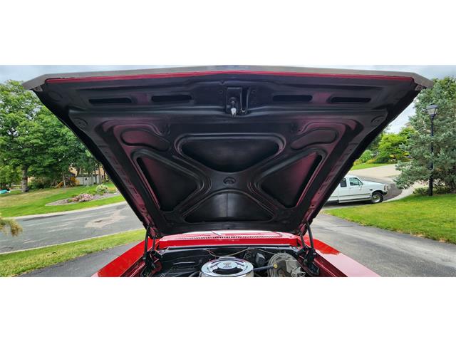 1979 Chevrolet Nova (CC-1769356) for sale in Belle Plaine, Minnesota, Minnesota