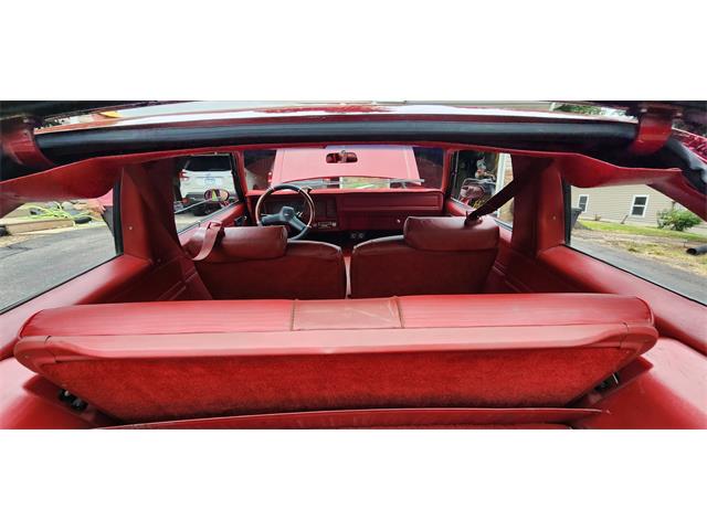 1979 Chevrolet Nova (CC-1769356) for sale in Belle Plaine, Minnesota, Minnesota